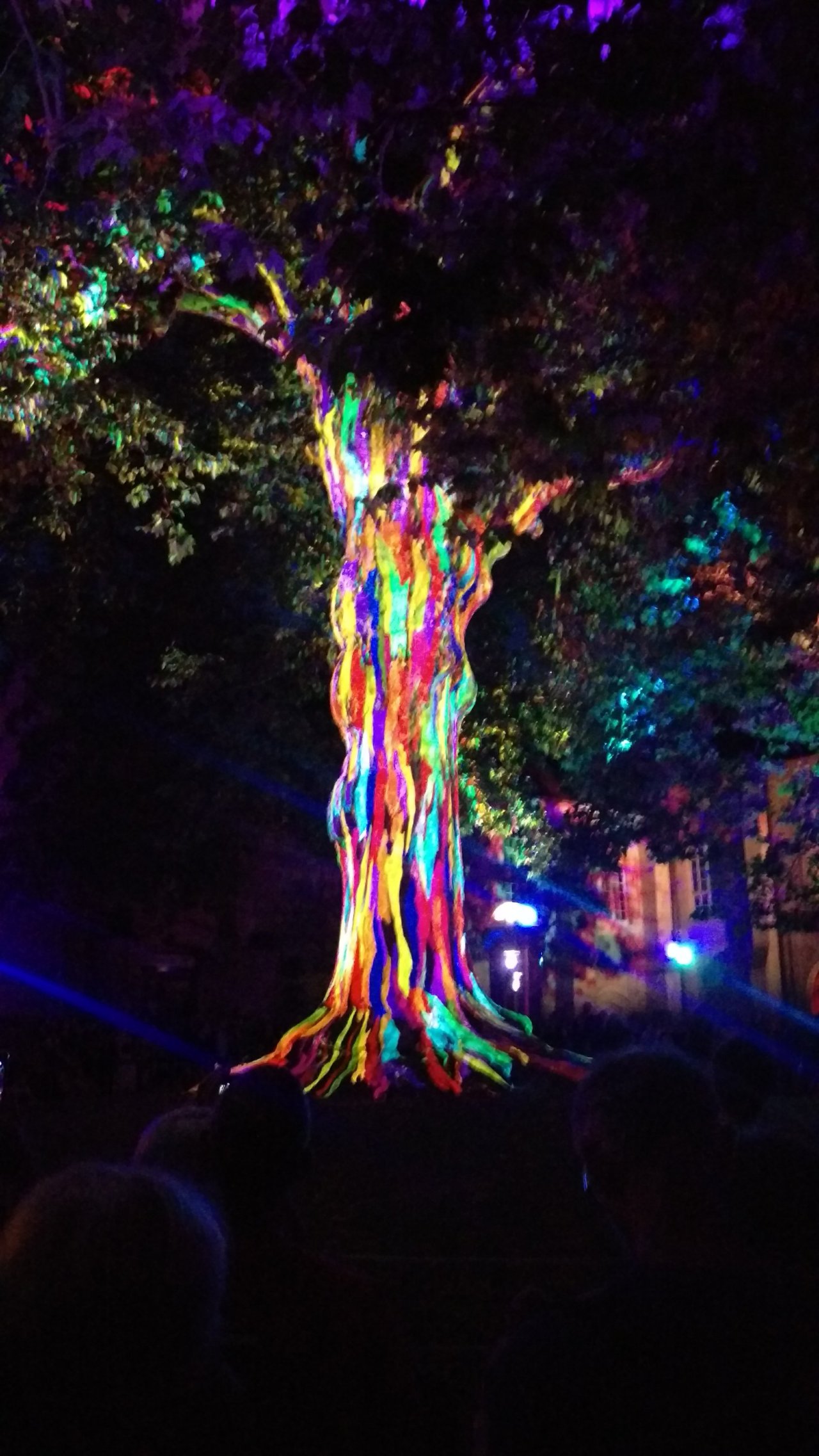 Specifics of Bayeux! By Amelia