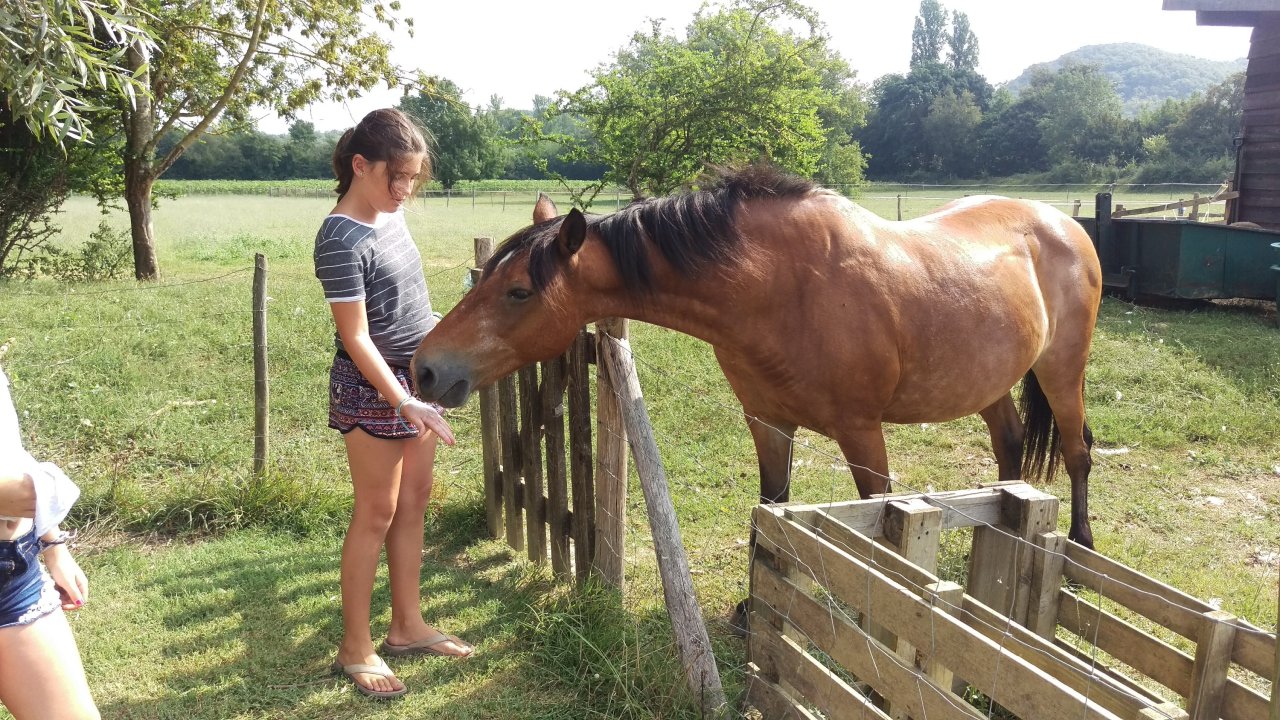 Farm Stay!!π©βπΎπ by Amelia