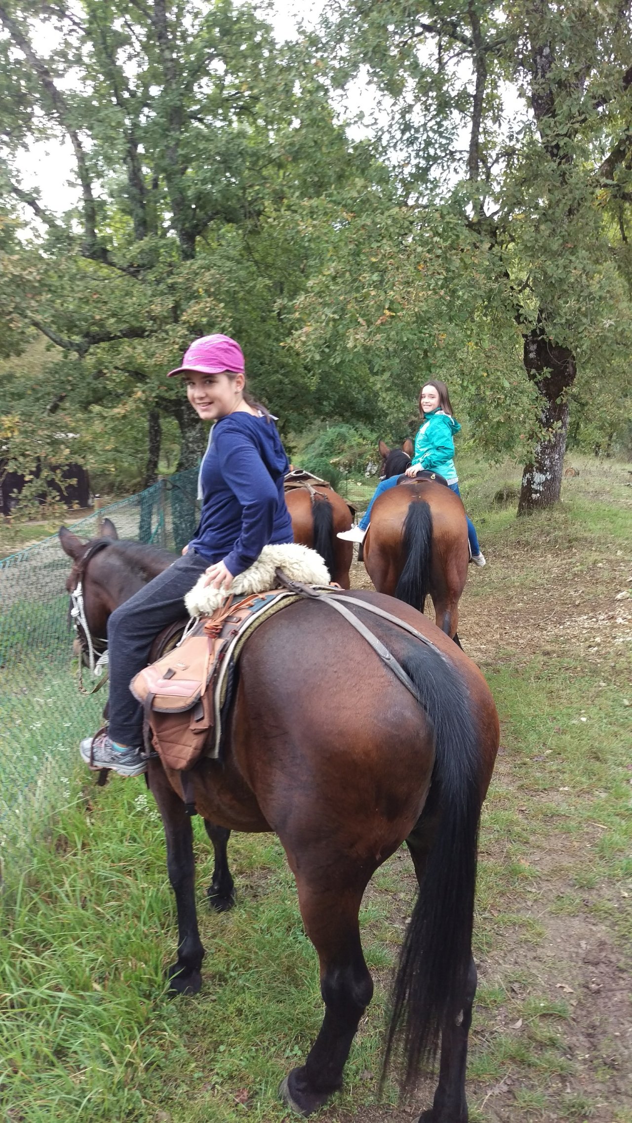 Horses, Branches and Hills – by Amelia and Annabelle