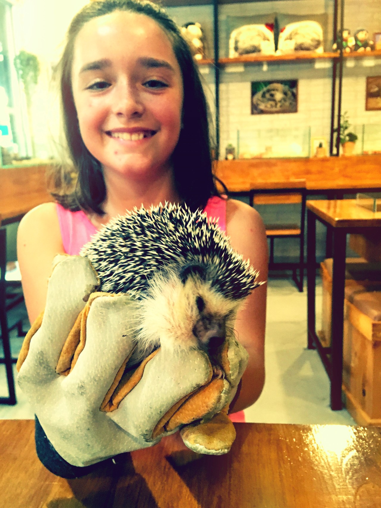 New Friends, Elephants and Hedgehogs in Chiang Mai, by Annabelle