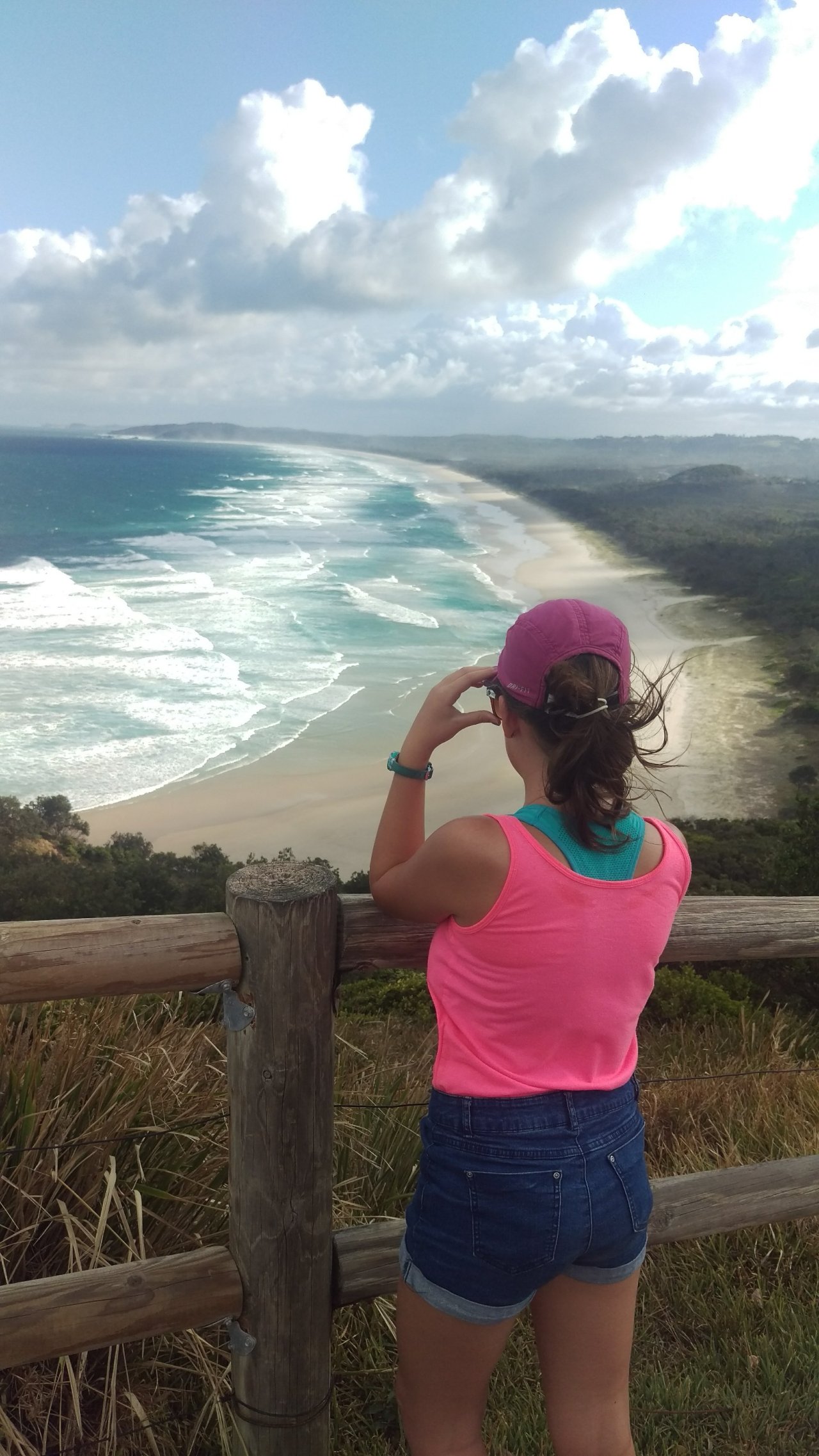 Brisbane, Byron Bay and Bubbler Crabs